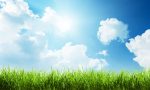 Grass and clouds on a sunny day.