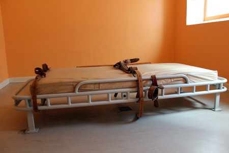 Bed restraints on a bed.